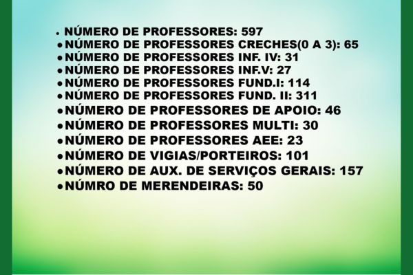 Imagem 11
