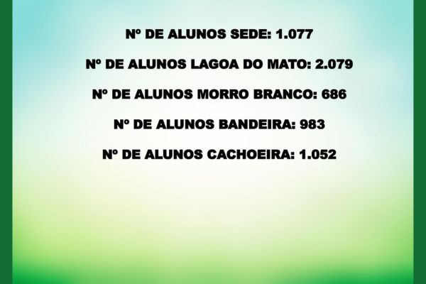 Imagem 12